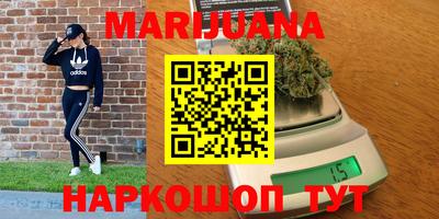 прущие грибы Мариинск