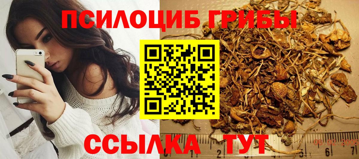 Псилоцибиновые грибы Cubensis Губаха