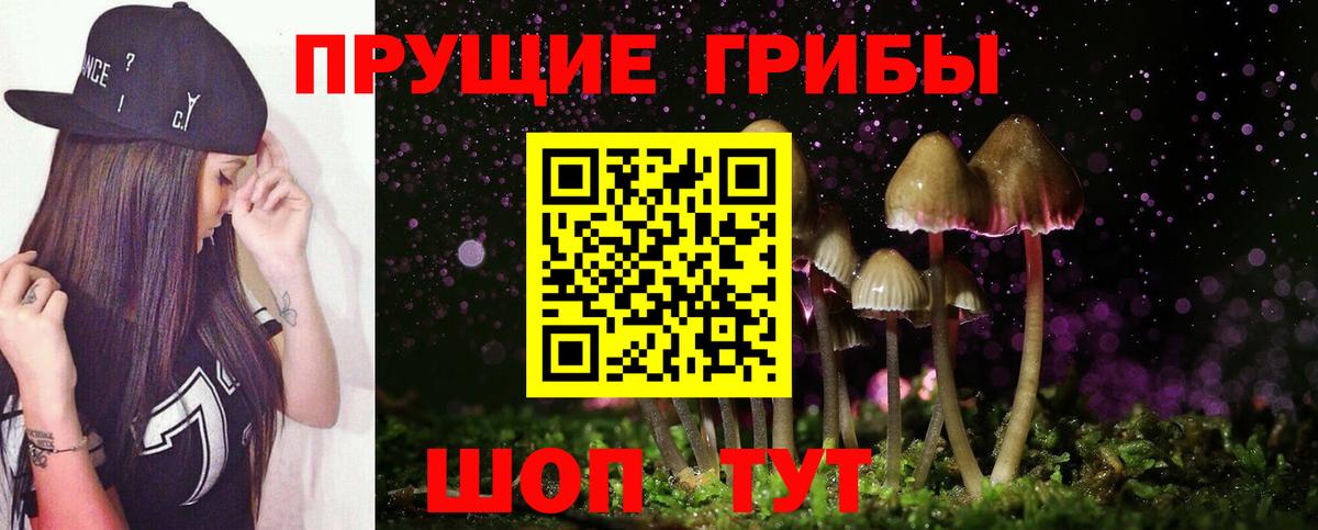 Псилоцибиновые грибы прущие грибы  Вход с VPN  Губаха 